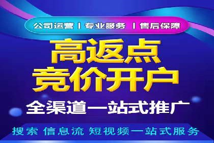 充值返点机制在社交平台的应用案例